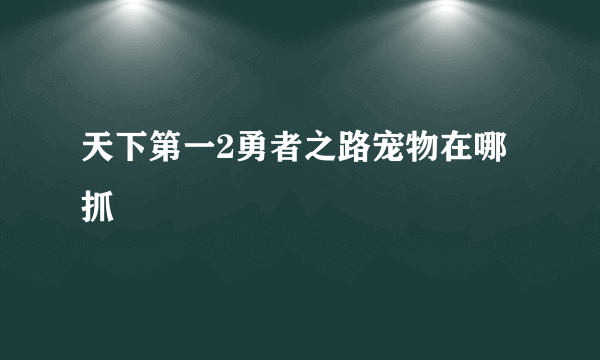 天下第一2勇者之路宠物在哪抓