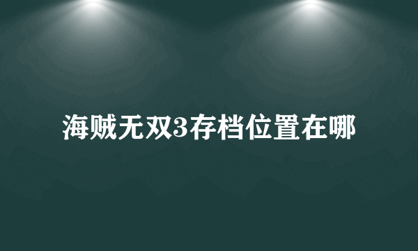 海贼无双3存档位置在哪