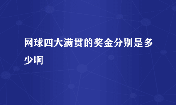 网球四大满贯的奖金分别是多少啊