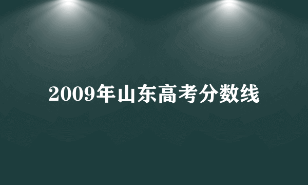 2009年山东高考分数线