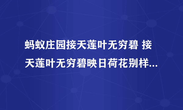 蚂蚁庄园接天莲叶无穷碧 接天莲叶无穷碧映日荷花别样红是哪个湖