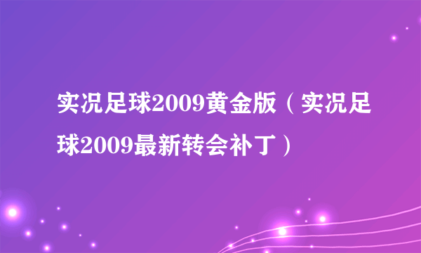 实况足球2009黄金版（实况足球2009最新转会补丁）