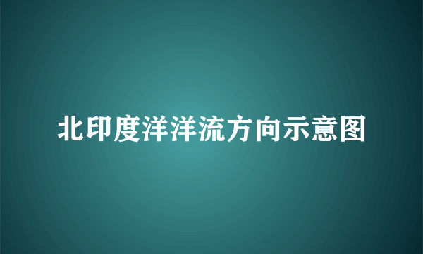 北印度洋洋流方向示意图