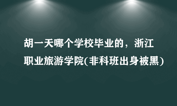 胡一天哪个学校毕业的，浙江职业旅游学院(非科班出身被黑)