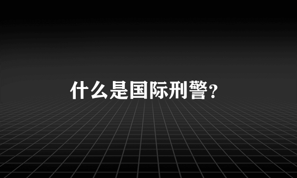 什么是国际刑警？