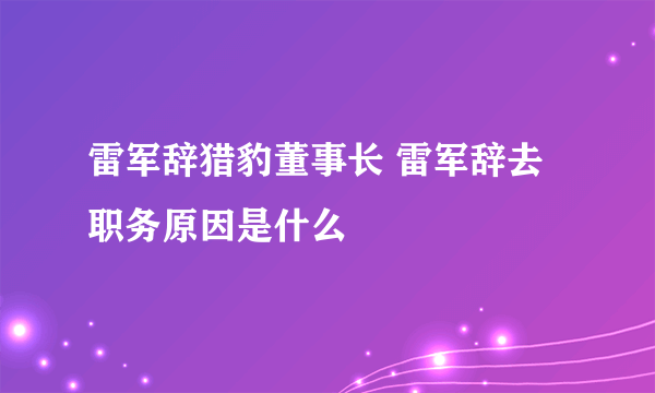 雷军辞猎豹董事长 雷军辞去职务原因是什么