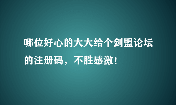 哪位好心的大大给个剑盟论坛的注册码，不胜感激！