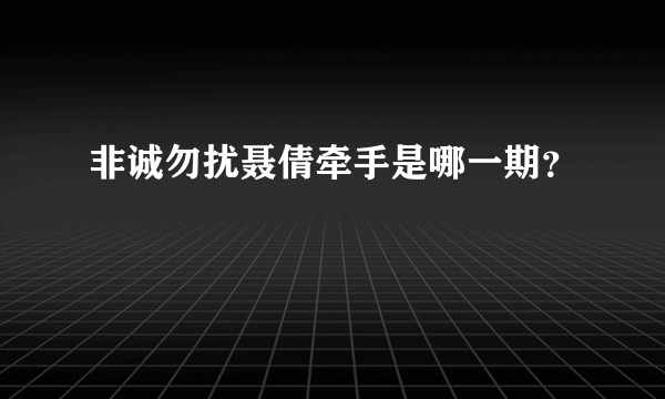 非诚勿扰聂倩牵手是哪一期？