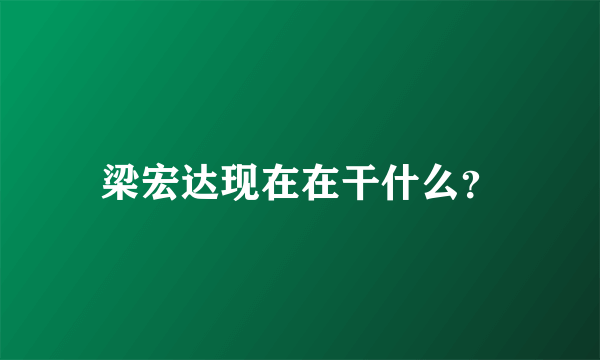 梁宏达现在在干什么？