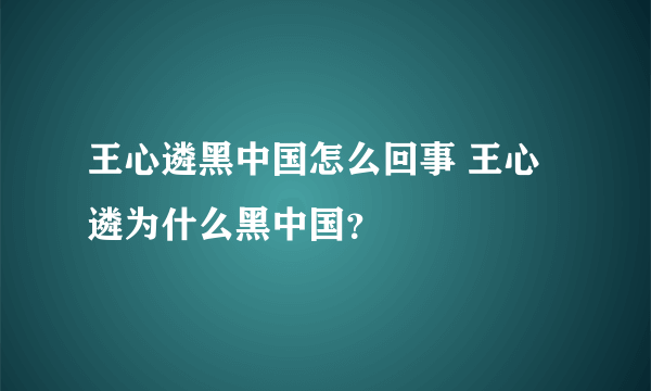 王心遴黑中国怎么回事 王心遴为什么黑中国？