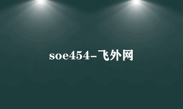 soe454-飞外网