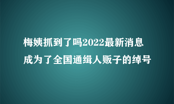 梅姨抓到了吗2022最新消息 成为了全国通缉人贩子的绰号