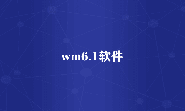 wm6.1软件