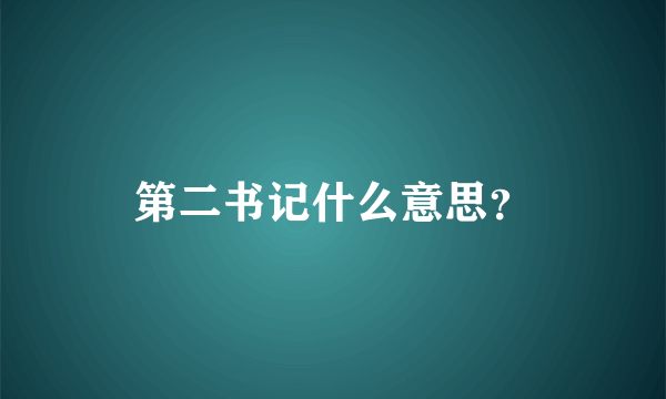 第二书记什么意思？