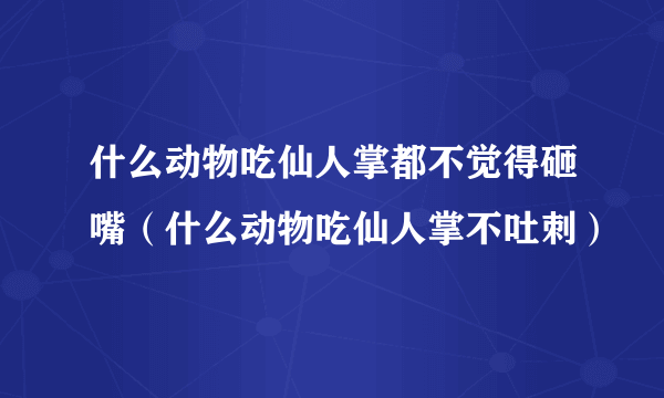 什么动物吃仙人掌都不觉得砸嘴（什么动物吃仙人掌不吐刺）