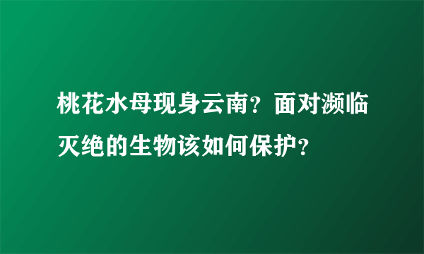 桃花水母现身云南？面对濒临灭绝的生物该如何保护？