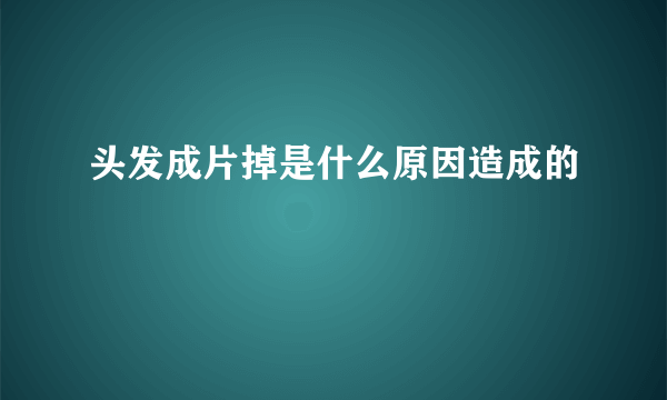 头发成片掉是什么原因造成的