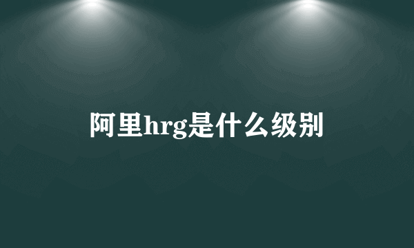 阿里hrg是什么级别