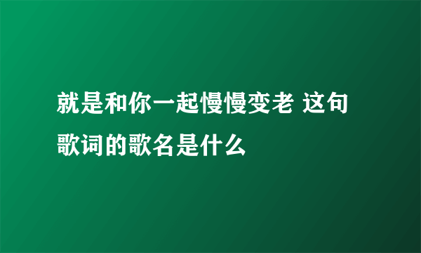 就是和你一起慢慢变老 这句歌词的歌名是什么