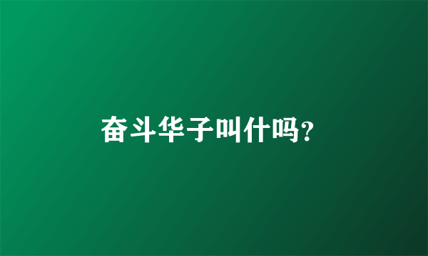 奋斗华子叫什吗？