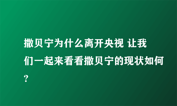 撒贝宁为什么离开央视 让我们一起来看看撒贝宁的现状如何?