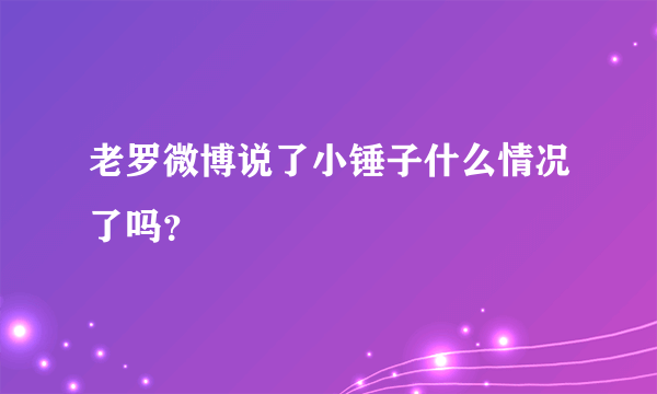 老罗微博说了小锤子什么情况了吗？