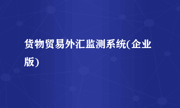 货物贸易外汇监测系统(企业版)