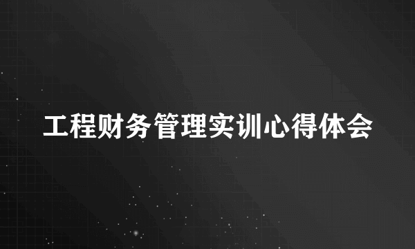 工程财务管理实训心得体会