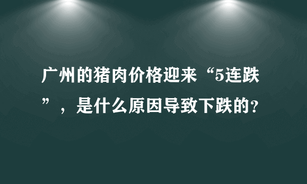 广州的猪肉价格迎来“5连跌”，是什么原因导致下跌的？