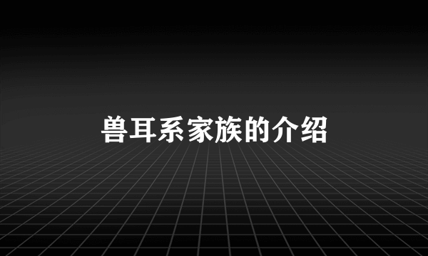 兽耳系家族的介绍