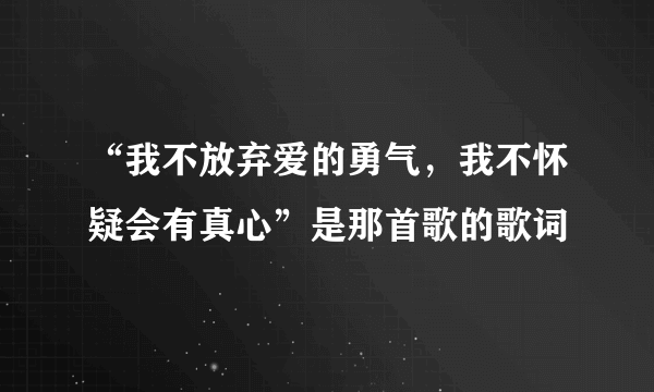 “我不放弃爱的勇气，我不怀疑会有真心”是那首歌的歌词