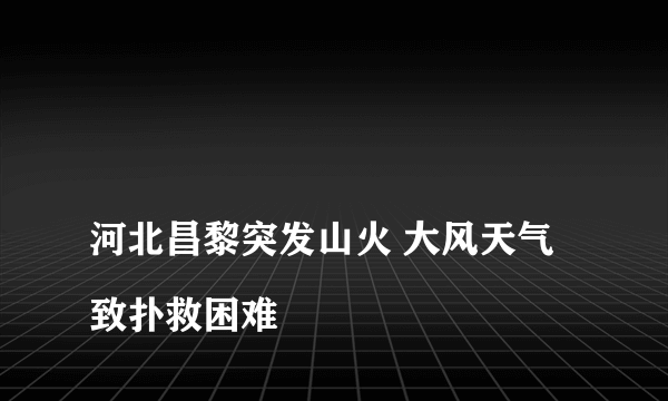 
河北昌黎突发山火 大风天气致扑救困难
