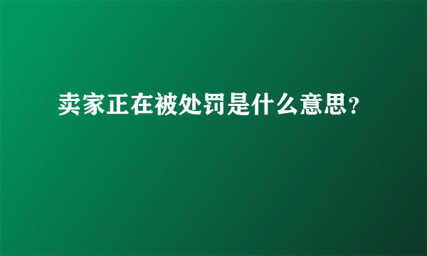 卖家正在被处罚是什么意思？