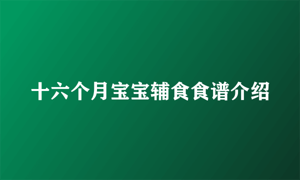 十六个月宝宝辅食食谱介绍