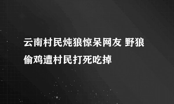 云南村民炖狼惊呆网友 野狼偷鸡遭村民打死吃掉