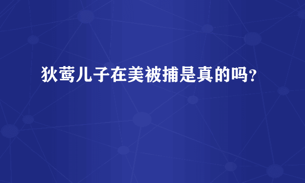 狄莺儿子在美被捕是真的吗？