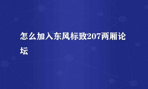 怎么加入东风标致207两厢论坛