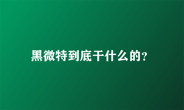 黑微特到底干什么的？