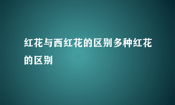 红花与西红花的区别多种红花的区别