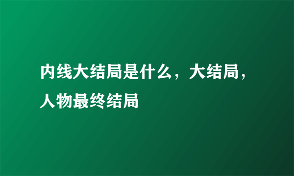 内线大结局是什么，大结局，人物最终结局