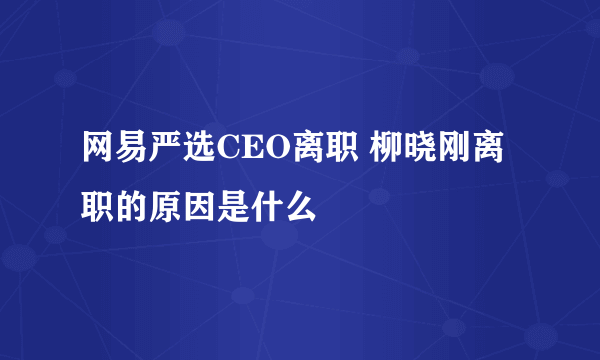 网易严选CEO离职 柳晓刚离职的原因是什么