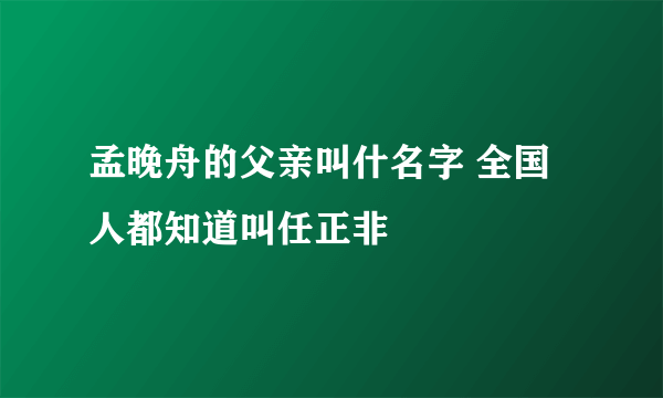 孟晚舟的父亲叫什名字 全国人都知道叫任正非