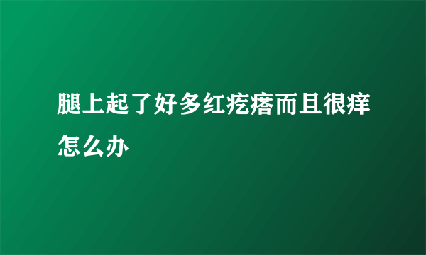 腿上起了好多红疙瘩而且很痒怎么办