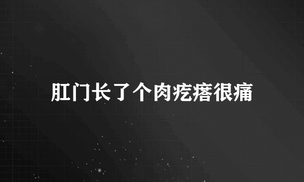 肛门长了个肉疙瘩很痛