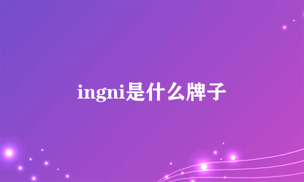 ingni是什么牌子