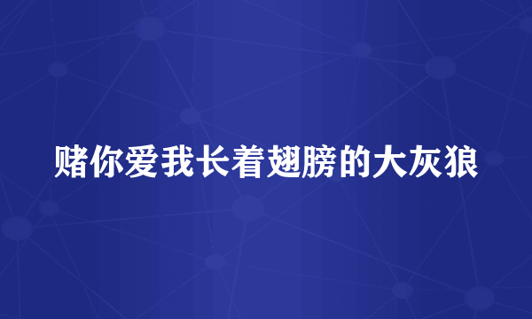 赌你爱我长着翅膀的大灰狼