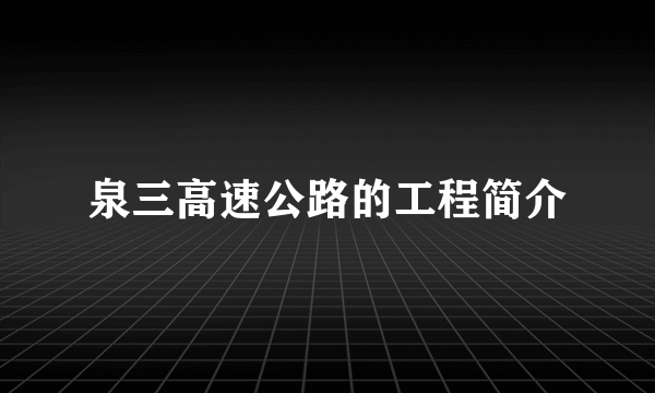 泉三高速公路的工程简介