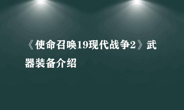 《使命召唤19现代战争2》武器装备介绍