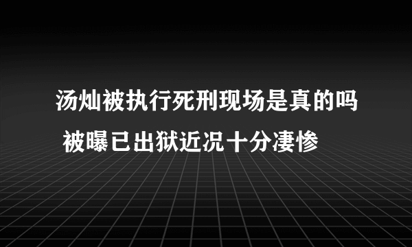 汤灿被执行死刑现场是真的吗 被曝已出狱近况十分凄惨