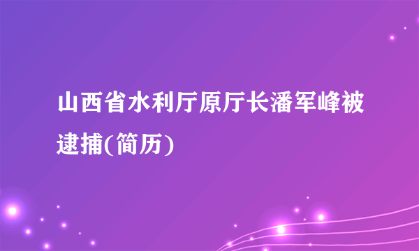 山西省水利厅原厅长潘军峰被逮捕(简历)